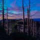 Illustration for article titled Adventure: Californias Lost Coast